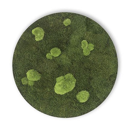 zuzmo-dekoracio.hu gömbmoha körkép