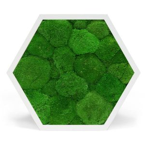 zuzmo-dekoracio.hu hexagon gömbmoha képek fehér kerettel