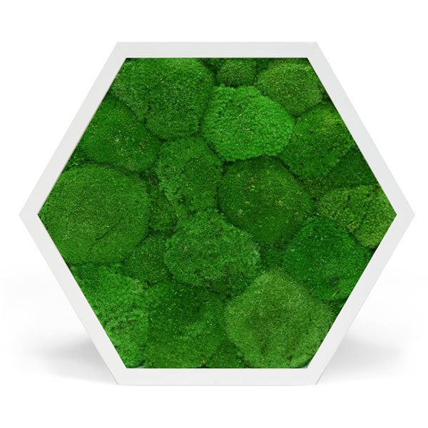 zuzmo-dekoracio.hu hexagon gömbmoha képek fehér kerettel
