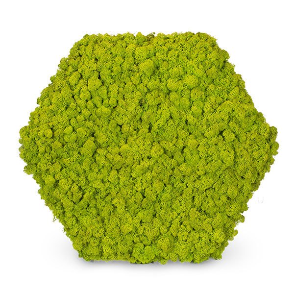 zuzmo-dekoracio.hu 3d zuzmócsempék