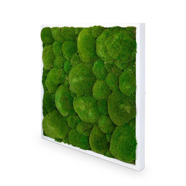 zuzmo-dekoracio.hu gömbmoha képek