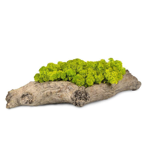 zuzmo-dekoracio.hu beton fatörzs