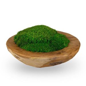 zuzmo-dekoracio.hu teakfa tál gömbmoha betéttel