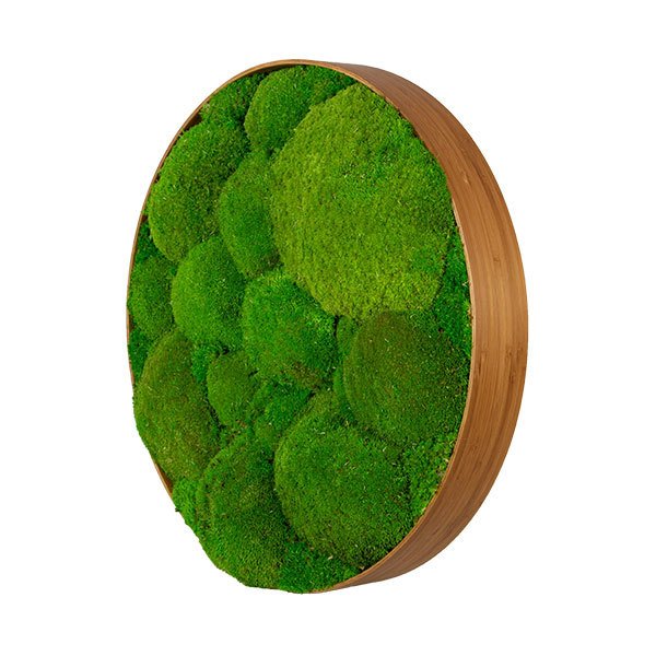 zuzmo-dekoracio.hu gömbmoha körkép