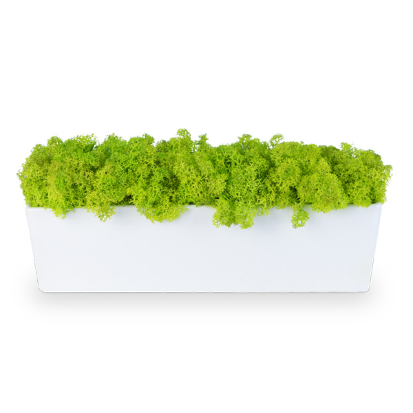 zuzmo-dekoracio.hu zuzmóbetétes porcelánkaspók