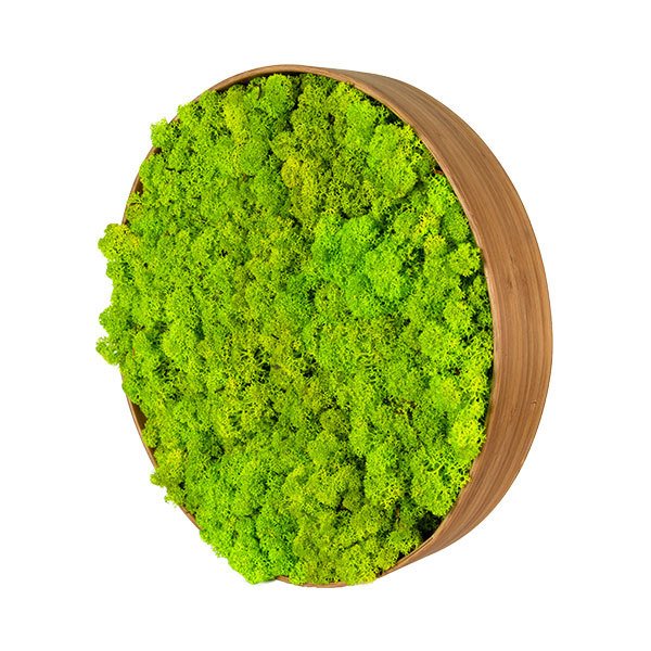 zuzmo-dekoracio.hu körkeretes zuzmóképek bambuszkerettel