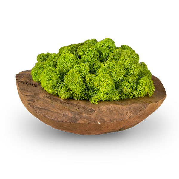 zuzmo-dekoracio.hu teakfatál