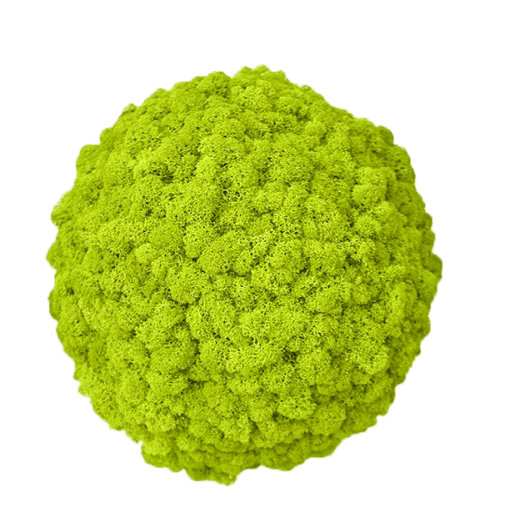 zuzmo-dekoracio.hu zuzmógömbök