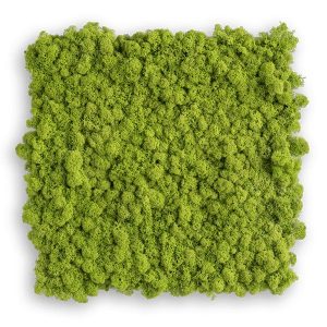 zuzmo-dekoracio.hu zuzmópanelek