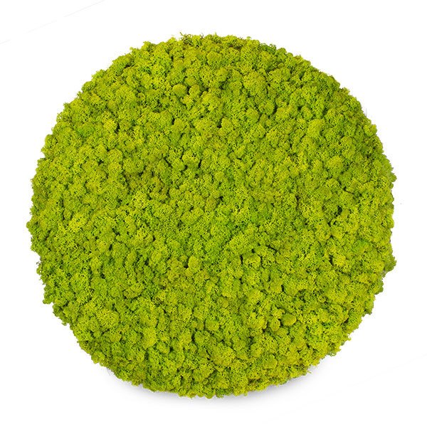 zuzmo-dekoracio.hu zuzmós körpanelek