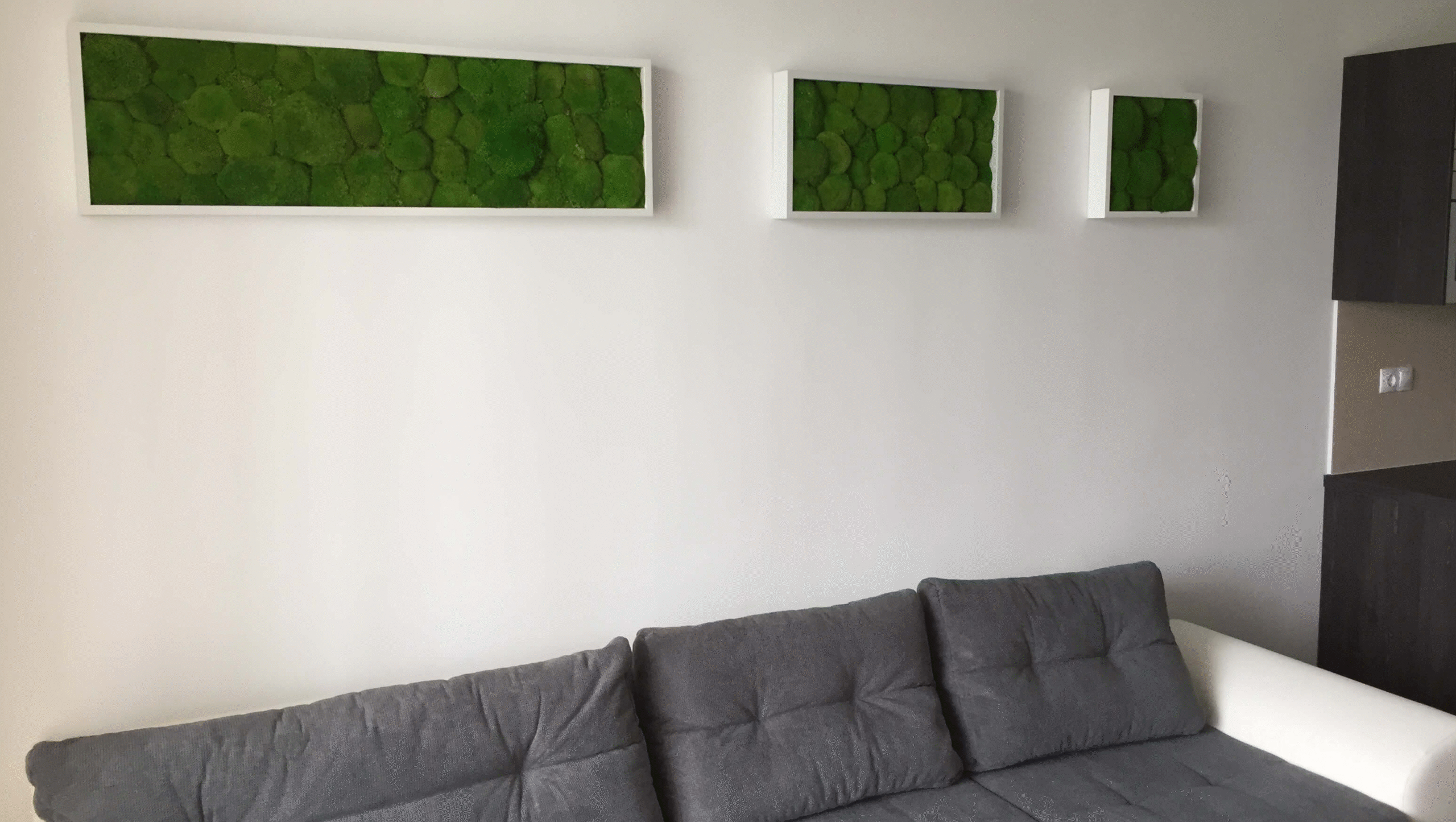 Zuzmo Dekoráció - Zöldfal design - Referencia